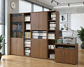Офисный шкаф узкий средний со стеклом + полка), Л/Пр.
