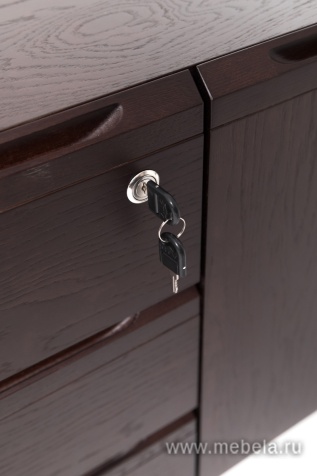 Брифинг-приставка