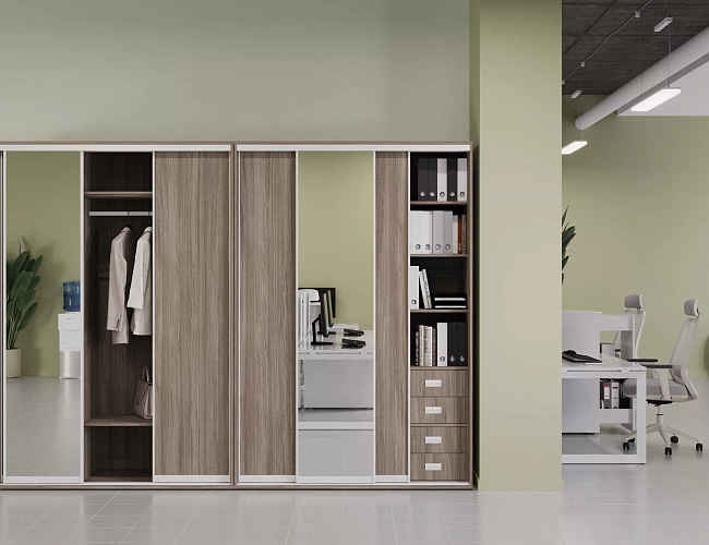 фото Шкафы-Купе Марис №4