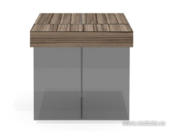 Брифинг-приставка (тонированное стекло)