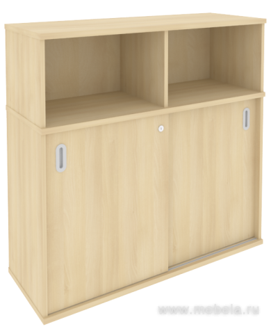 Офисный шкаф-купе