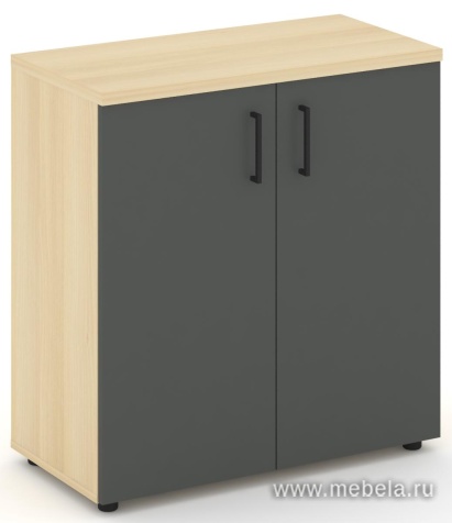 Офисный шкаф низкий широкий (2 низких фасада, задняя стенка ЛДСП)