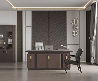 фото кабинет Чикаго  №4