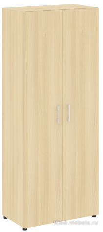 Офисный шкаф высокий закрытый