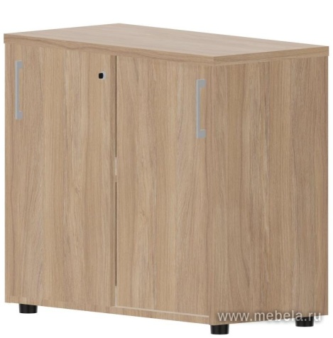 Офисный шкаф-купе