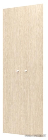 Двери глухие высокие