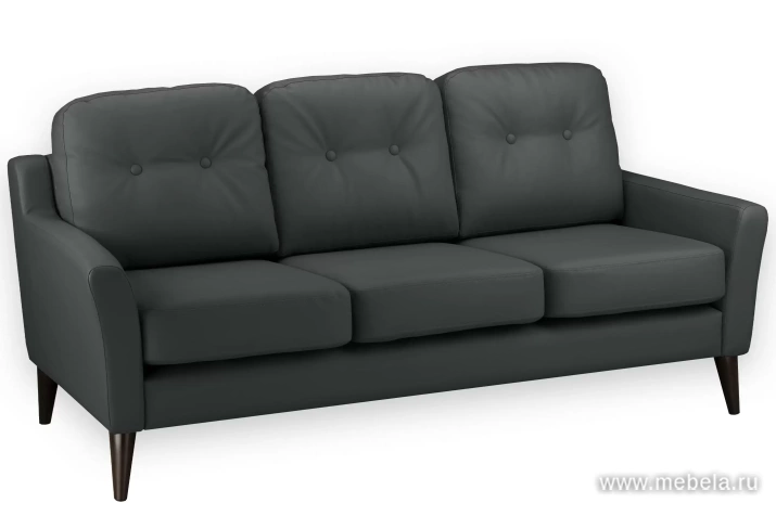 Диван 3-х местный (деревянные опоры)