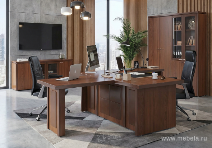 Брифинг-приставка