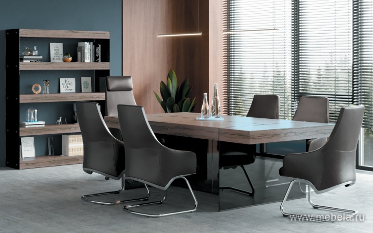 Брифинг-приставка (тонированное стекло)