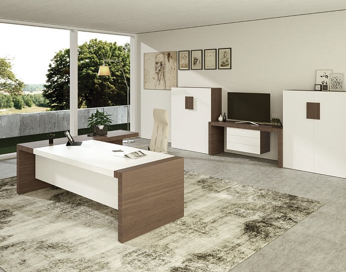 фото кабинет руководителя Кио					 №5					