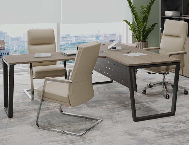 фото кабинет Проджект Вяз Т №3