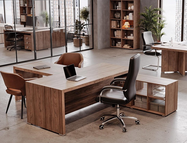 фото кабинет Солид Орех