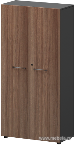 Офисный шкаф высокий закрытый