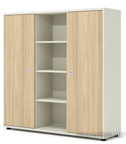 Офисный шкаф-купе с дверьми-купе