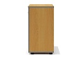 Офисный шкаф закрытый, низкий
