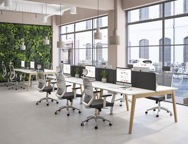 фото мебель Альберо