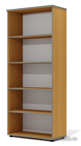 Офисный шкаф закрытый, высокий с полками