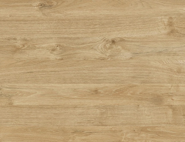 фото Шкафы-Купе Тиквуд №5