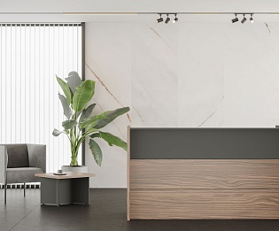 фото ресепшн Дали Орех  №3