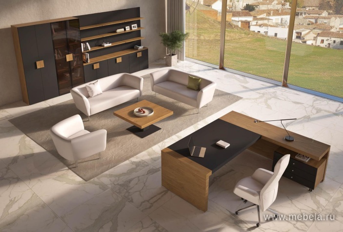 Брифинг приставка