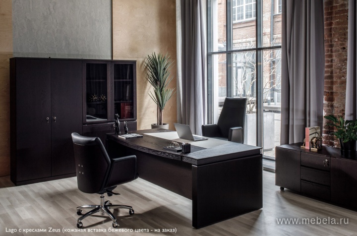 Брифинг-приставка