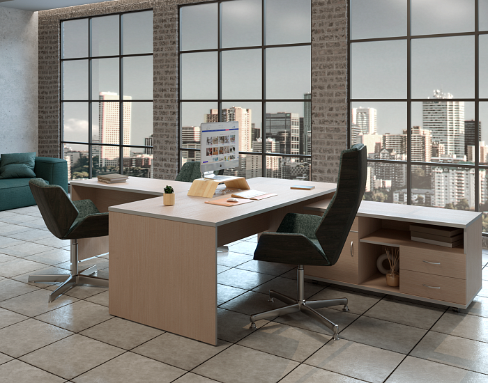 фото кабинет Свифт Шамони					 №3					