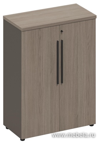 Офисный шкаф для документов средний закрытый